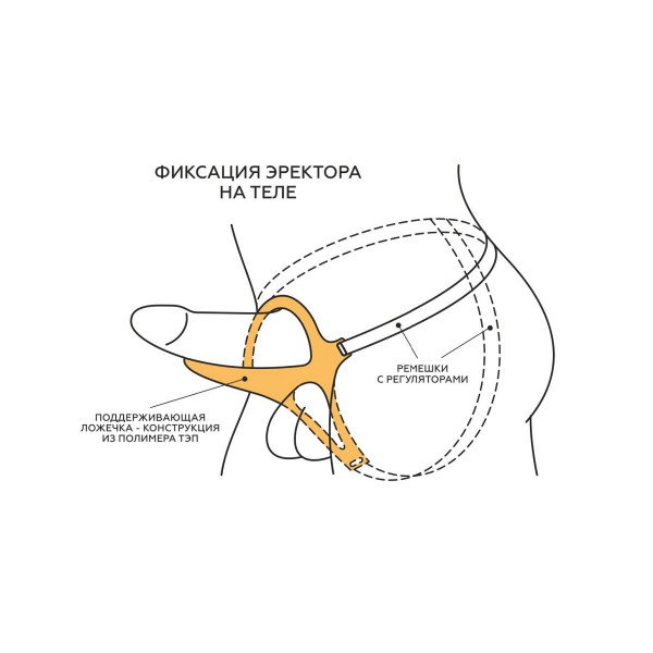 Телесный эректор-ложечка с фиксацией на ремешках MEN STYLE